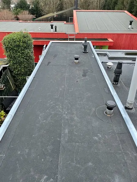 Dakwerk en loodgieterswerk project Domstad Dakwerken 113